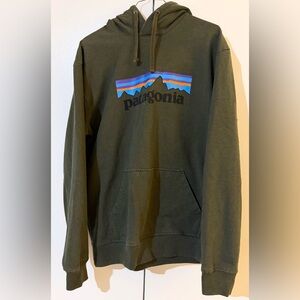 Patagonia Men's Forest Green Hoodie